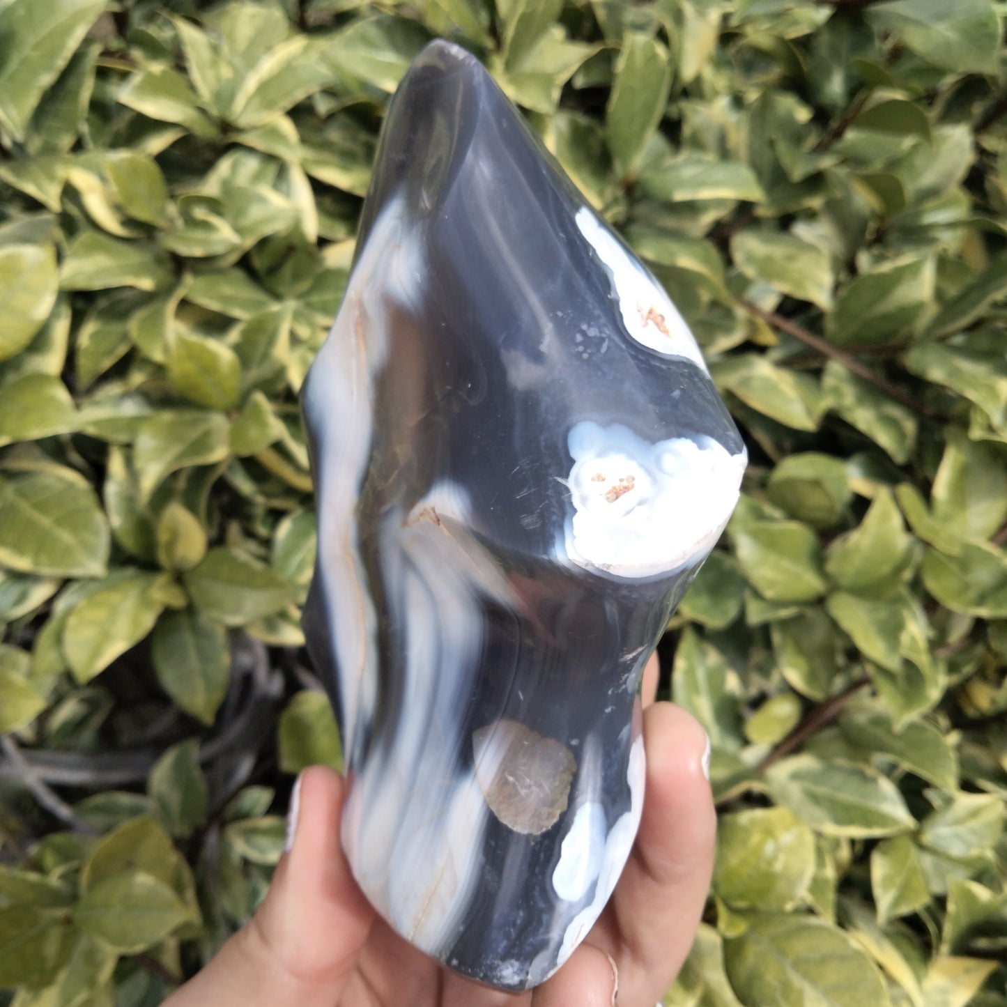 Orca Agate Flame 1