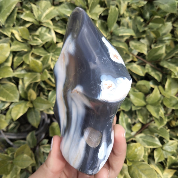 Orca Agate Flame 1