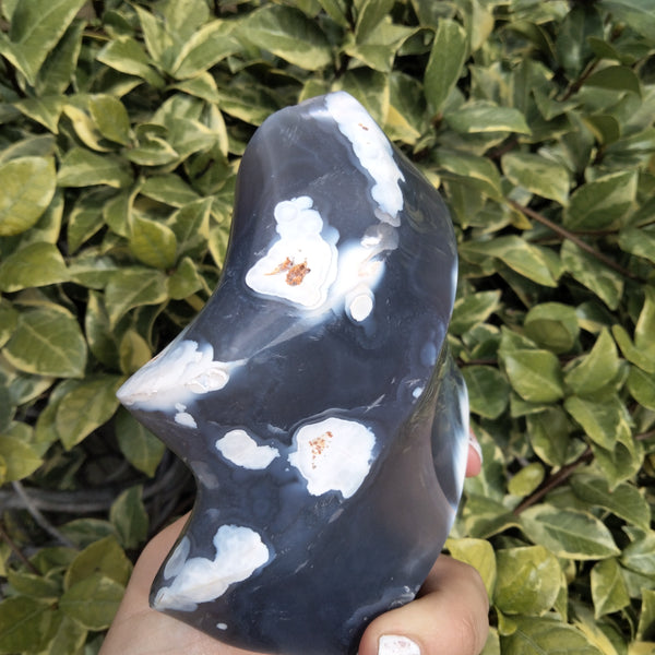 Orca Agate Flame 1