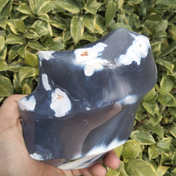 Orca Agate Flame 1