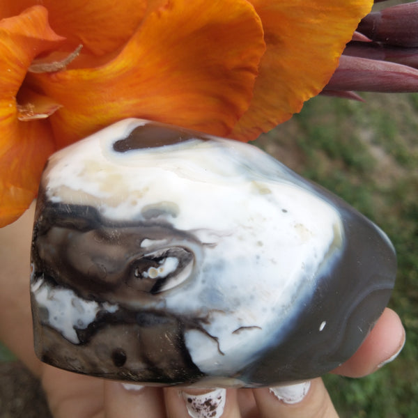 Orca Agate Flame with bands 3