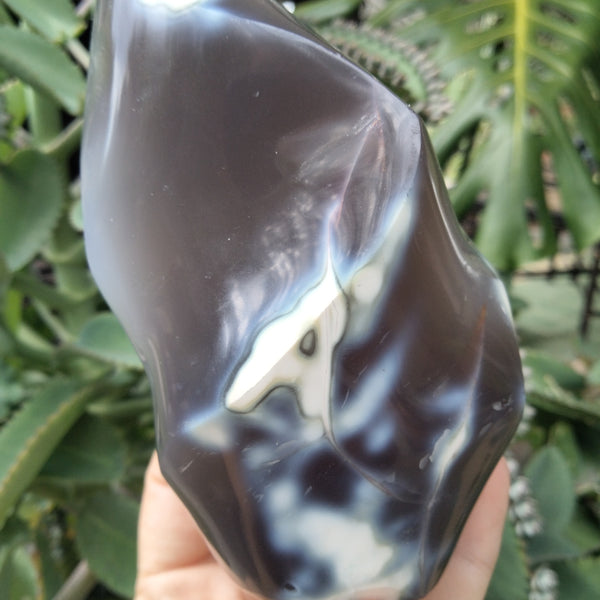 Orca Agate Flame 12