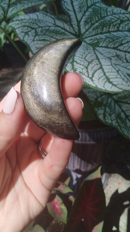 Golden Sheen Obsidian Moon