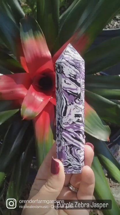 Zebra jasper purple queen tower