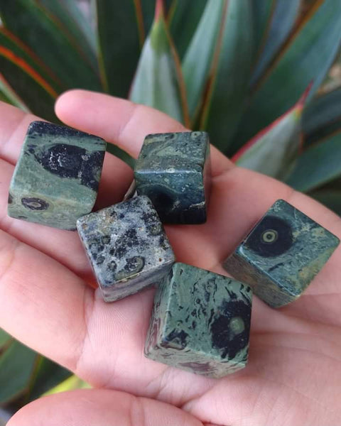 Kambaba Jasper Cube