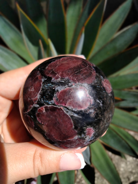 Astrophilite with Garnet