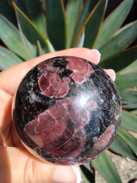 Astrophilite with Garnet