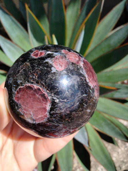 Astrophilite with Garnet