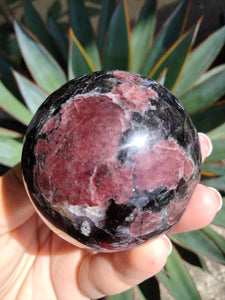 Astrophilite with Garnet