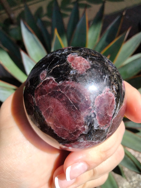 Astrophilite with Garnet