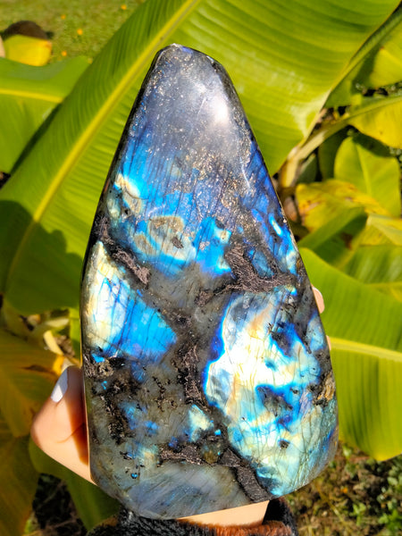 Labradorite Freeform B2