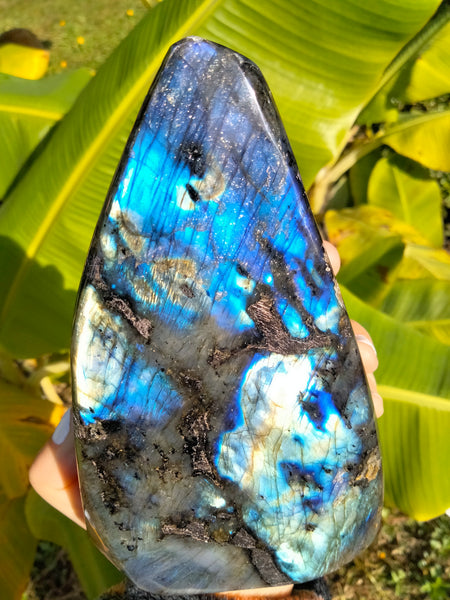 Labradorite Freeform B2