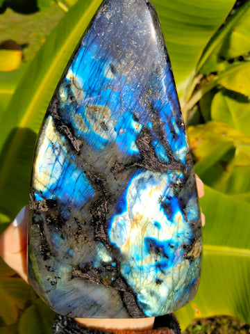 Labradorite Freeform B2