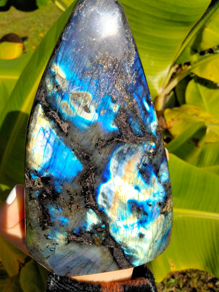 Labradorite Freeform B2