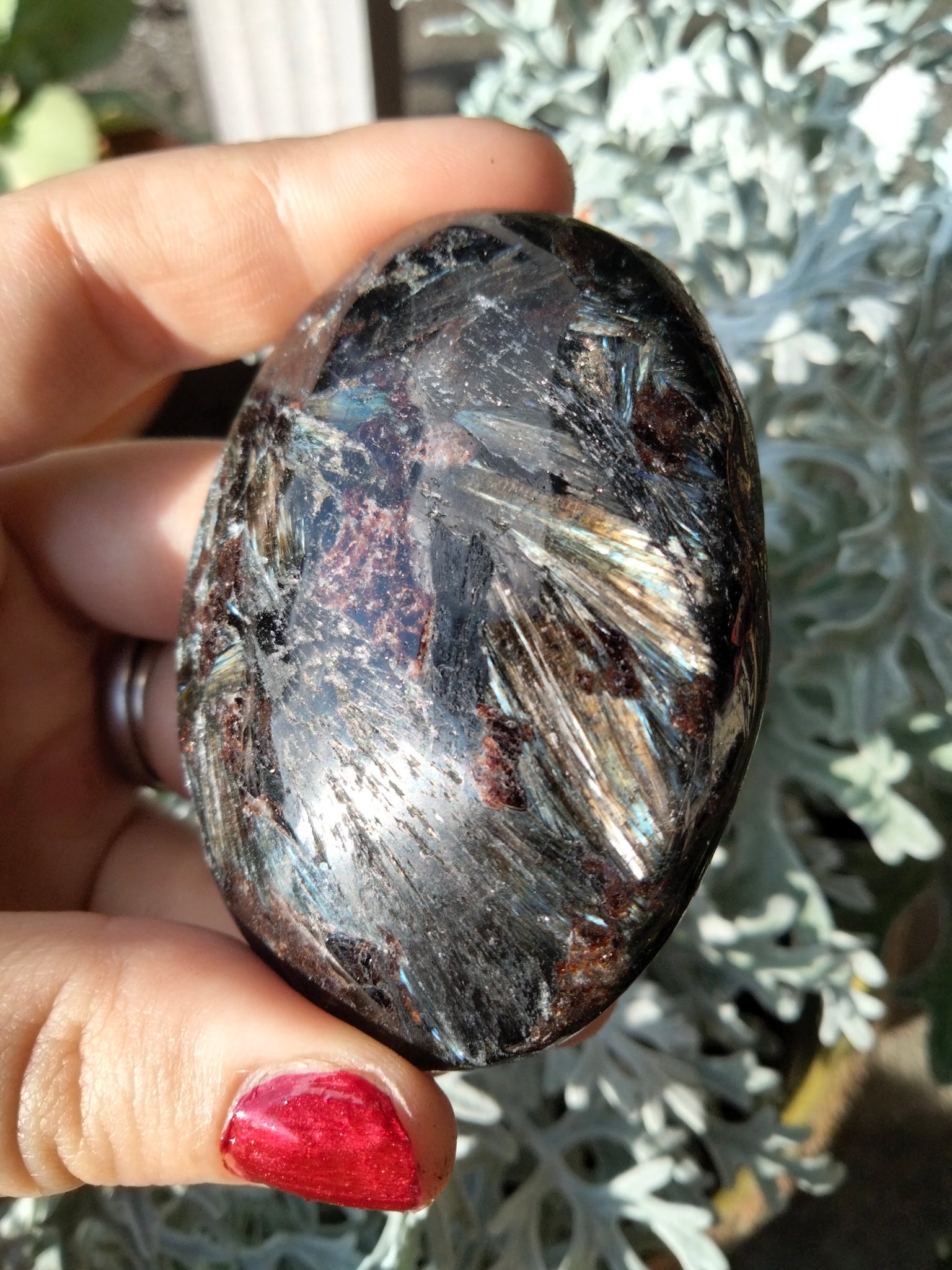 Astrophilite Palms Garnet inclusions with flash