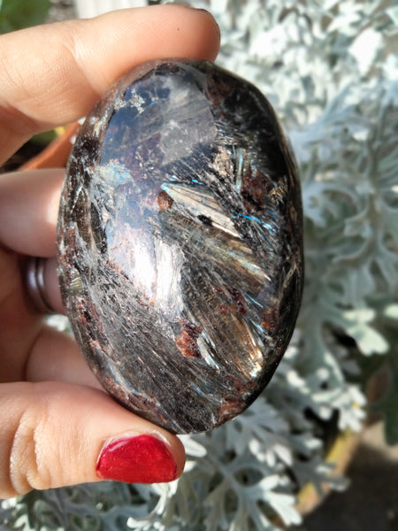 Astrophilite Palms Garnet inclusions with flash