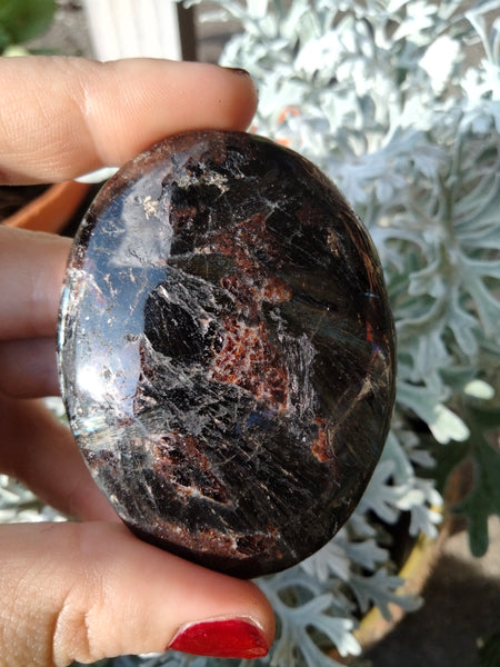 Astrophilite Palmstone Garnet inclusions with flash