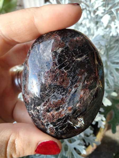 Astrophilite Palms Garnet inclusions with flash