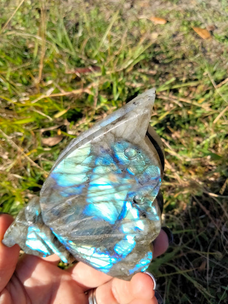 Labradorite Fairy