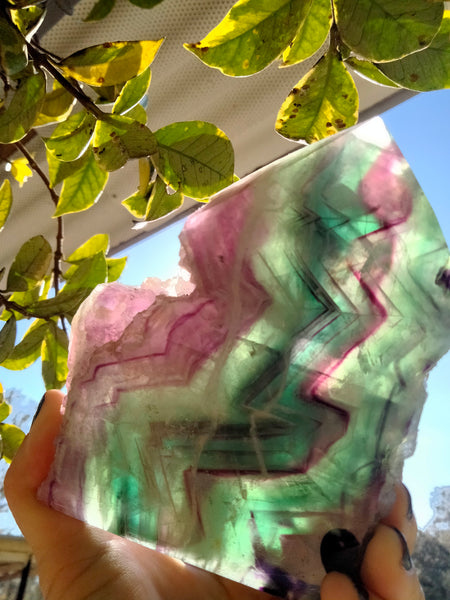 Rainbow Fluorite Freeforms