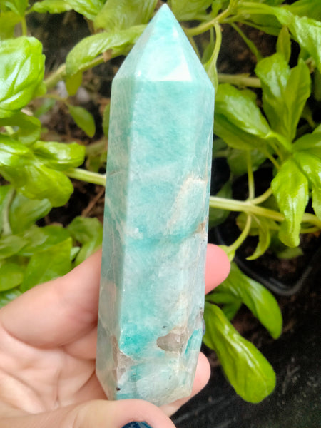 Shimmer Amazonite point