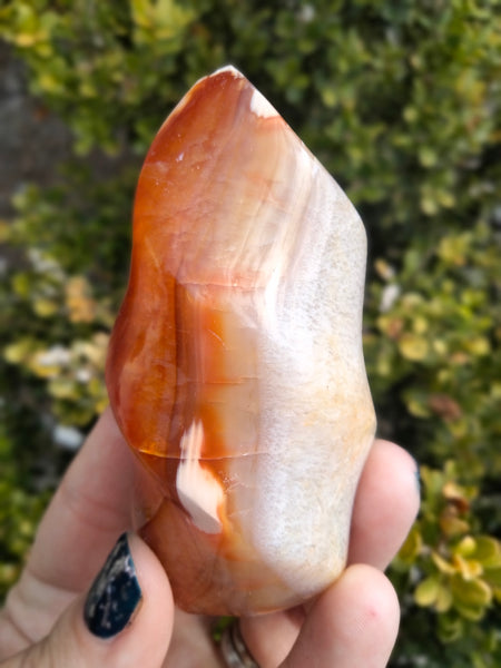 Orca Carnelian Jasper Flame 1