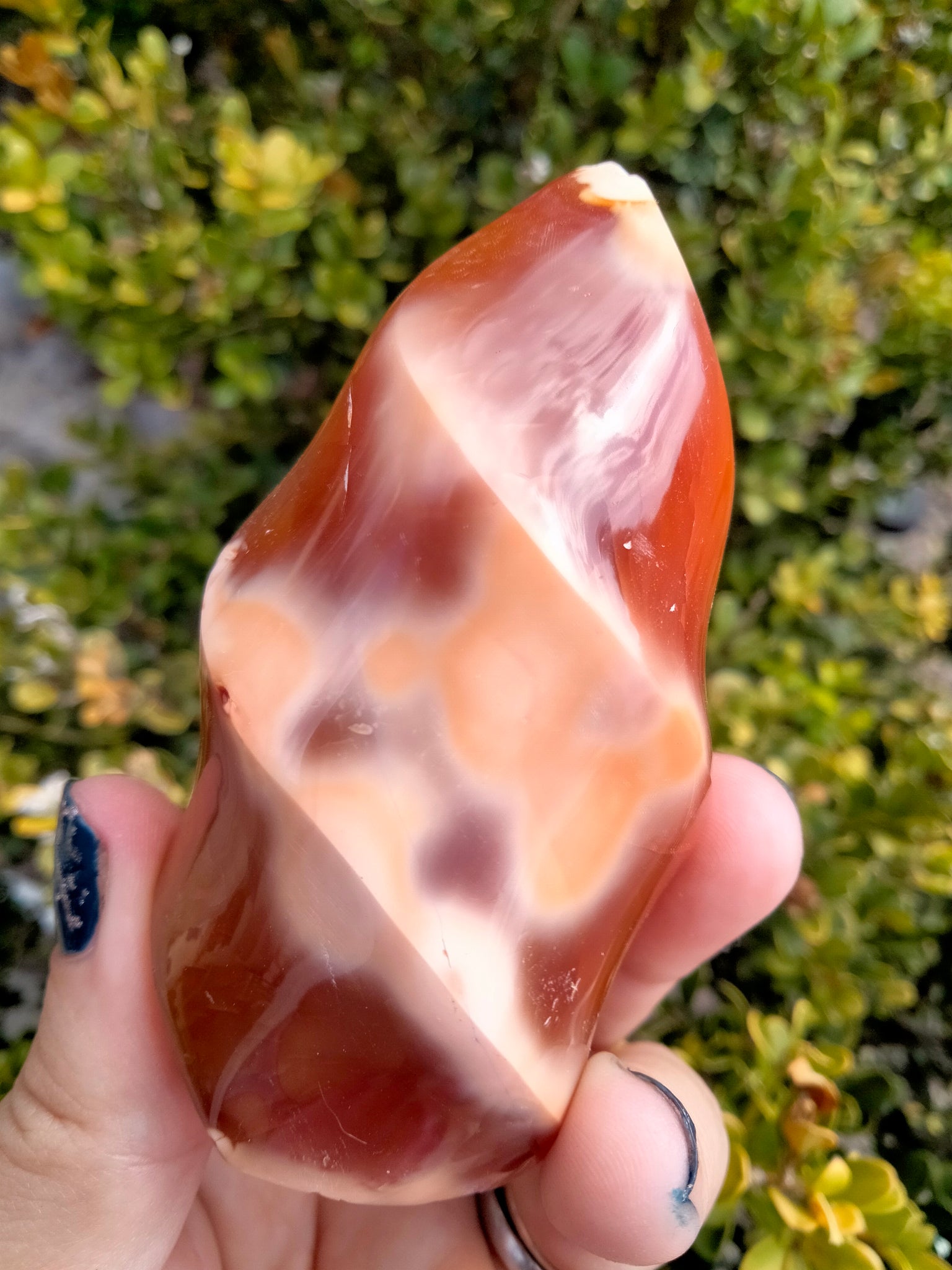 Orca Carnelian Jasper Flame 1