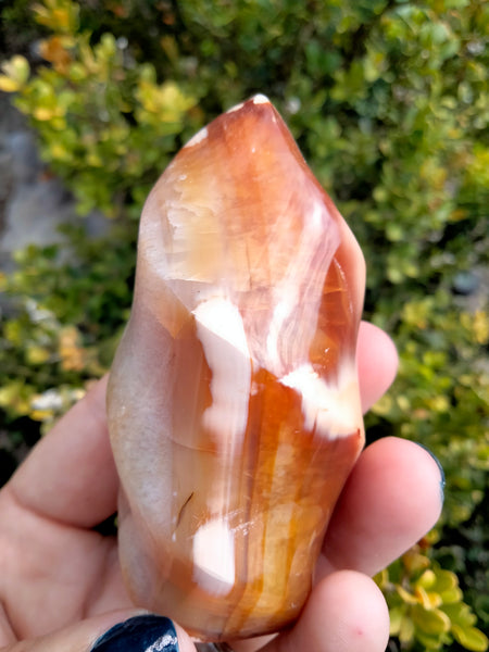 Orca Carnelian Jasper Flame 1