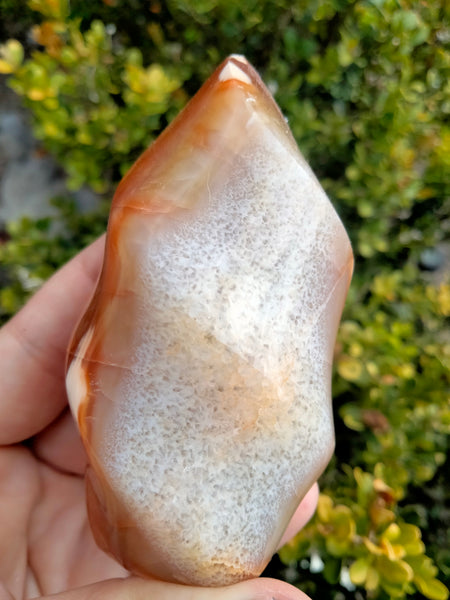 Orca Carnelian Jasper Flame 1