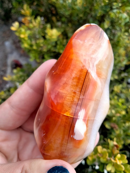 Orca Carnelian Jasper Flame 1