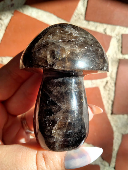 Smokey Quartz Crystal Mushroom with Rainbows!