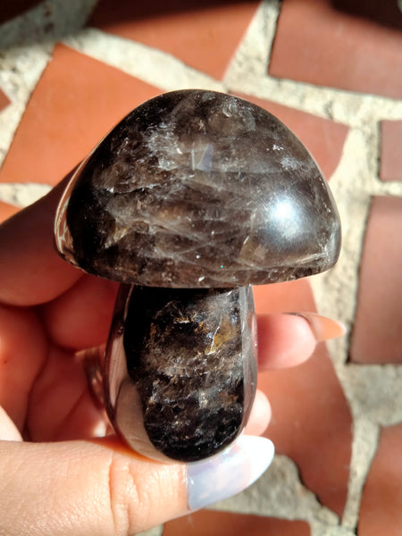 Smokey Quartz Crystal Mushroom with Rainbows!