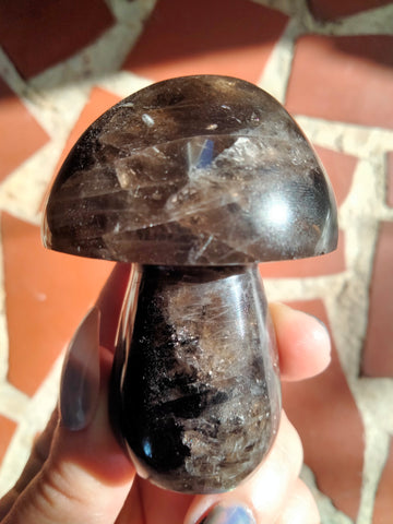 Smokey Quartz Crystal Mushroom with Rainbows!