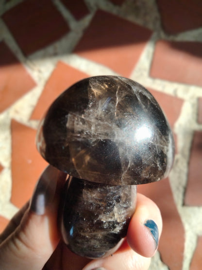 Smokey Quartz Crystal Mushroom with Rainbows!