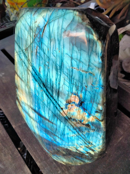 Labradorite freeform 16lbs statement piece