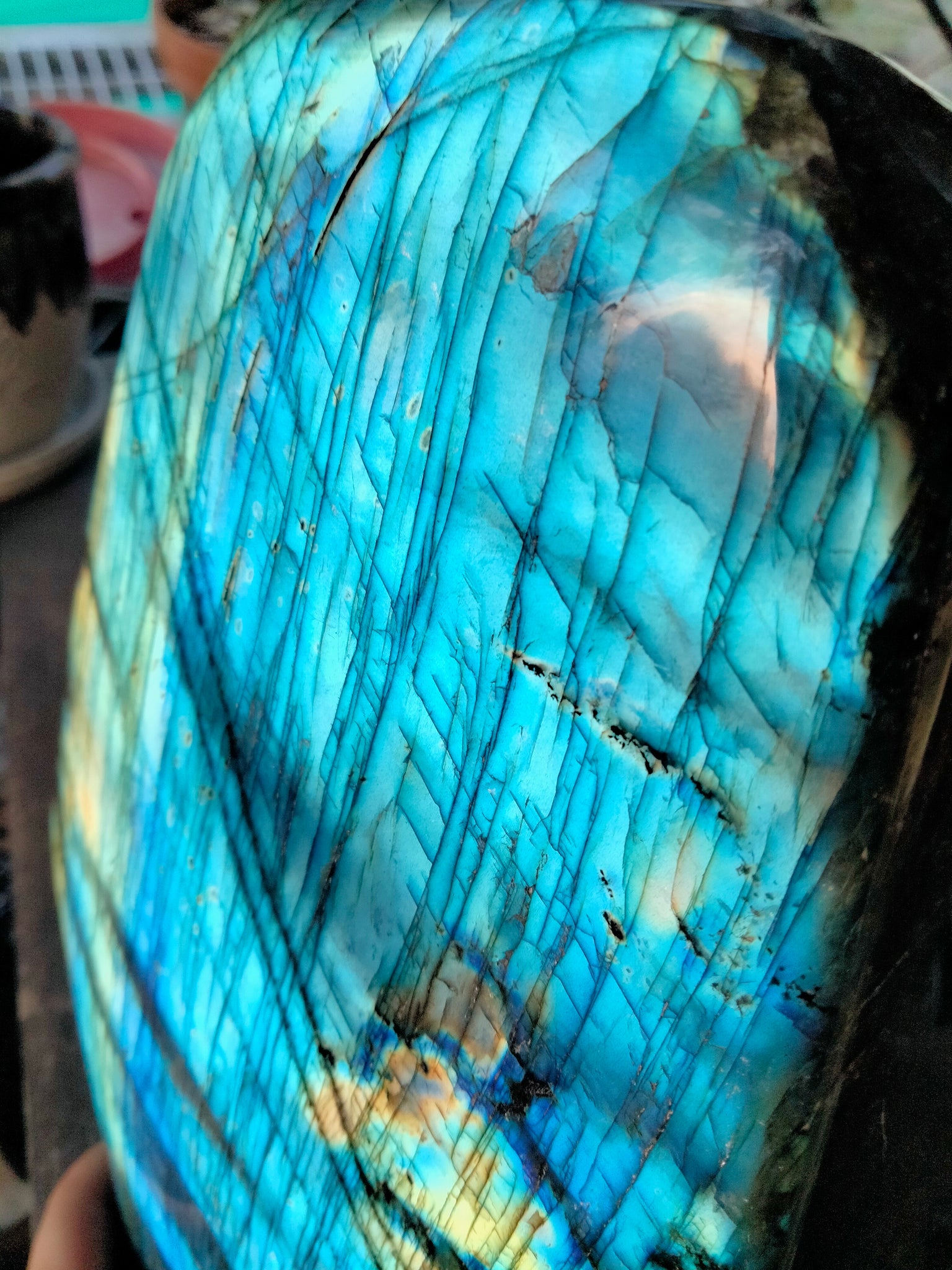 Labradorite freeform 16lbs statement piece