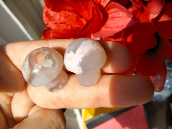 Flower Agate Mushrooms