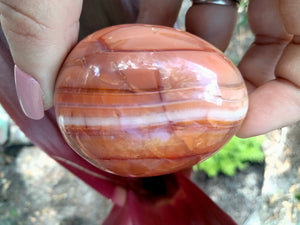 Carnelian Jasper Crystal Egg