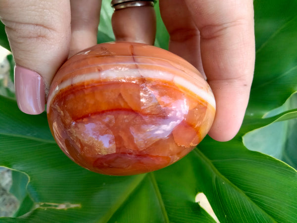 Carnelian Jasper Crystal Egg