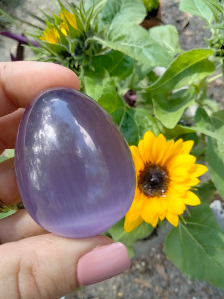 Purple Cat Eye Crystal Egg