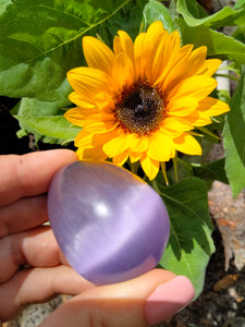 Purple Cat Eye Crystal Egg