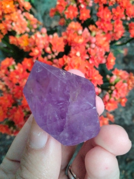 Amethyst Pillers from Brizil