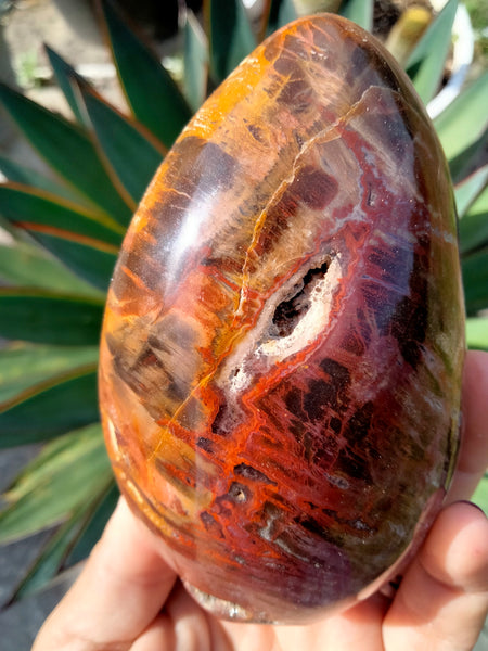 Petrified Woodstone