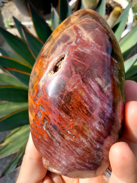 Petrified Woodstone