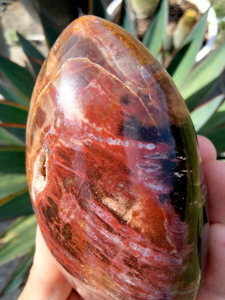 Petrified Woodstone