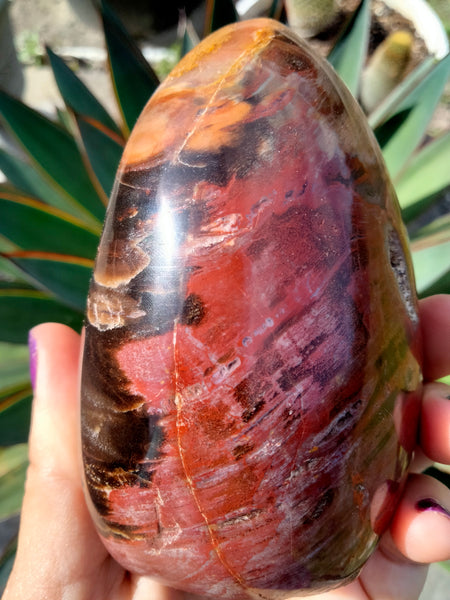 Petrified Woodstone