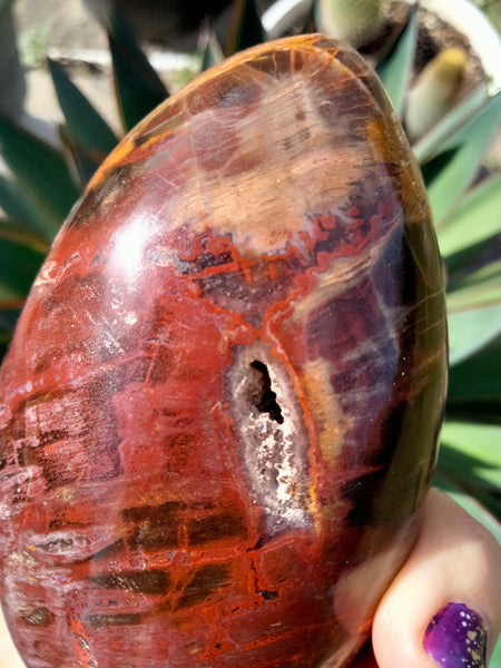 Petrified Woodstone