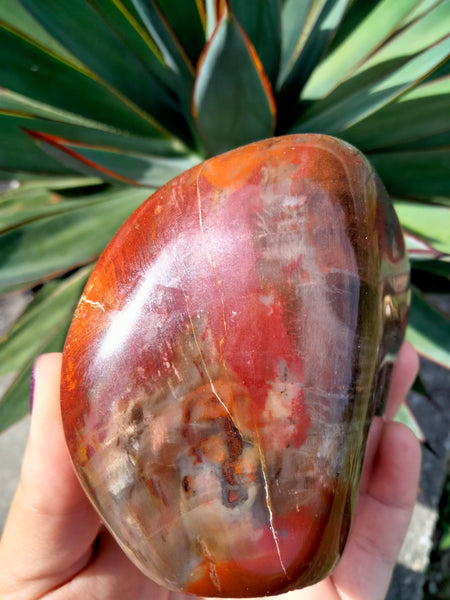 Petrified Woodstone freeform