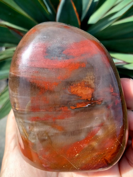 Petrified Woodstone freeform