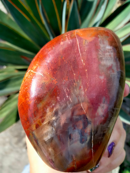 Petrified Woodstone freeform